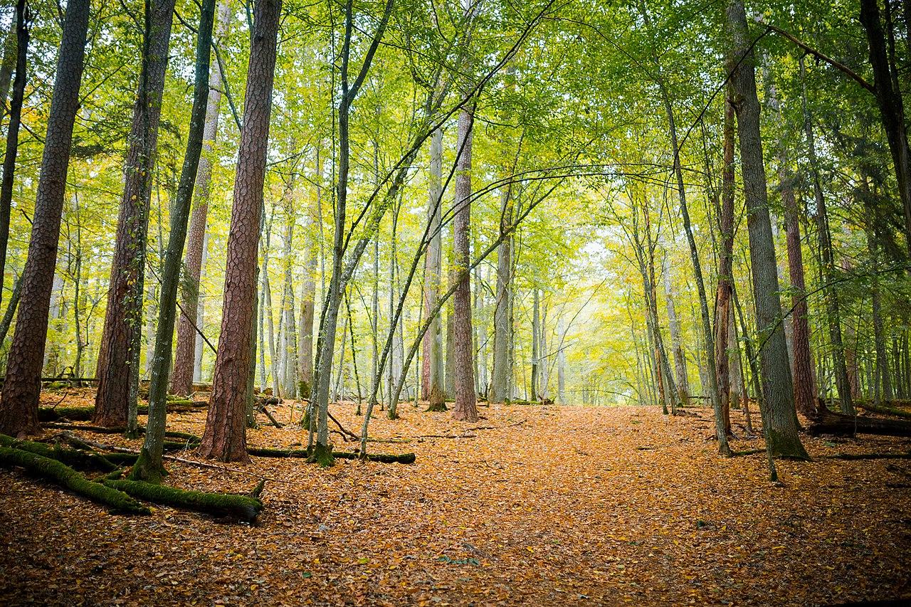 Brest Region, Belarus